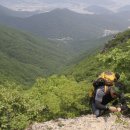 공룡목장 이미지