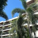 해피당구장 | 4인가족해외여행 리조트추천 아미아나리조트나짱 호텔 총정리 가격 보증금 조식 수영장 스노쿨링 해피아워