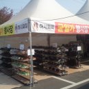허시파피검단