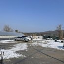 큰골농원 | [고양 식물마켓]고양시 원예, 화훼농원 헬로우가든 방문후기