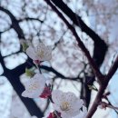 영은한의원 이미지