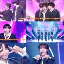 뮤직뱅크 스포츠경향