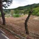 은하부동산중개 이미지