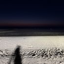 백합 | 인천해루질 추천 - 무의도 하나개 백합 그레 해루질 후기 [25.11.14]