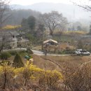 감골주유소 이미지