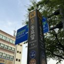 청계천조류원 | 청계천 애완동물 거리 앵무새 구경했어요!