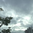 진안여중 이미지