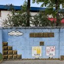 영림목장 | 10월 일상 (2) :: 도시어부, 아이싱쿠키 원데이클래스, 안반데기, 대관령 삼양목장, 솥뚜껑 닭볶음탕