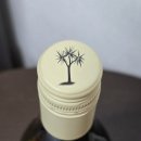 사랑 DOG 차지 | 뉴질랜드 소비뇽 블랑 추천｜도그 포인트 시음기 &amp; 와이너리 스토리 (Dog Point Sauvignon Blanc 2024)