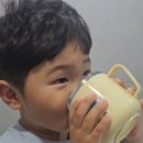 코뿔소 | 유치원,어린이집양치컵 세트 추천｜에이카랩스 코뿔소양치컵 후기