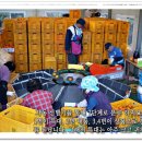 지리산 농장 이미지