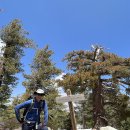 04-25-2026 Timber Mountain Via Icehouse Canyon 이미지