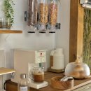 둘하루방 이미지