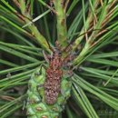 주식회사 메디풀 이미지