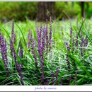 새암공원 이미지