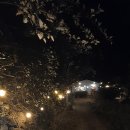 코코코게스트하우스 이미지