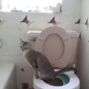 미래항외과의원 이미지