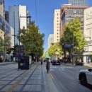 광화문 행정사 사무소 이미지