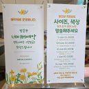 아름정원 - 세종특별자치시 달빛로 216 | 세종 꽃집 아름정원, S사이즈도 예쁜 꽃다발 후기