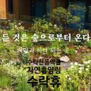 동막골 쉼 | [서울 노원구] 수락산 동막골 자연휴양림 수락휴 가이드