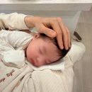 가호 신의 <b>가호</b>