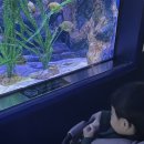 미인목장 | 여수 아쿠아리움_아기랑여수_벨루가있는아쿠아리움_아쿠아플라넷여수_뮤지엄오브컬러