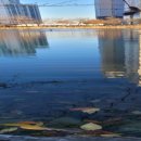 안흥유원지 이미지