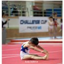 짐네스틱스쿨