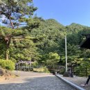 다리안 주차장 | 단양 다리안계곡 8월초 방문후기