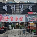 생고기대학교 이미지
