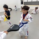 슈퍼키즈 태권도장 이미지