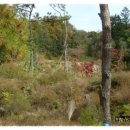 고성리-5 이미지