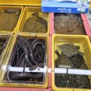 상인상회 이미지