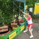 동물원스튜디오 | 만다이 동물원 후기｜싱가포르 여행 4일차 개체수 4,200마리의 스케일