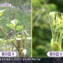 내고향풍천장어 이미지