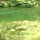 광신목장 이미지