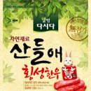산들애 이미지