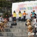 길음종합사회복지관 이미지