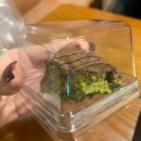 한빛길 | [잠실 쫀득쿠키] 오늘 1307 두바이 쫀득쿠키 | 잠실러들 주목 | 쫀득쿠키 첫 영접후기