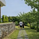 볼리에르스테이 이미지