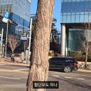 허니데이 이미지