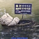 25.10.10.의령리치리치 페스티벌 이미지