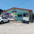 표선리-1 이미지