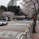 농산물품질관리원 앞 이미지