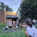 순덕이별당 | 제주 구좌 숙소] 순덕이별당 내돈내산후기