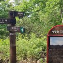 대곡초등학교 삼거리 이미지