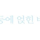 베네치아안경원