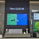 포항시북구77 | OLED77C5FNA 오광장점 한정 세트 혜택 공개합니다