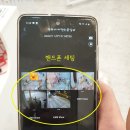 만두네 애견미용실 이미지