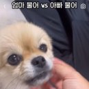 없음 이미지